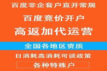 优化SEM竞价策略：成功案例剖析
